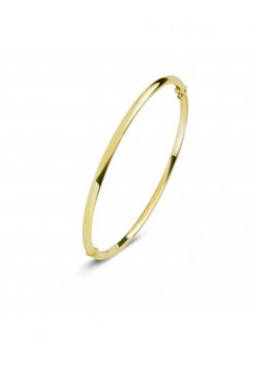 Fjory geelgouden bangle ronde buis met zilveren kern 3mm/61mm - 605268 Fjory geelgouden bangle ronde buis met zilveren kern 3mm/61mm - 605268