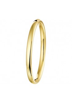 Slavenarmband Fjory ovale buis 6mm/61mm/ovaal Goud met zilveren kern - 000050294 Slavenarmband Fjory ovale buis 6mm/61mm/ovaal Goud met zilveren kern - 000050294