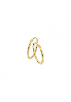 Geelgouden holle buis creolen met scharniersluiting 17/1.3mm - 000033849 Geelgouden holle buis creolen met scharniersluiting 17/1.3mm - 000033849