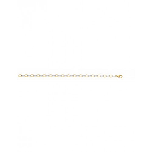 Fjory bicolor gouden ovaal jasseron armband met zilveren kern lengte 19cm - 605970