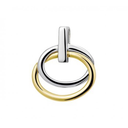 Bicolor gouden fantasie hanger afmeting 18.5/15.5mm - 000048456