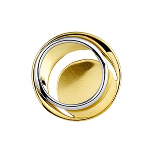 Bicolor gouden hanger poli-mat diameter 14,5mm - 604737