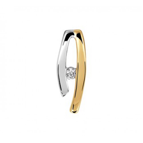 Bicolor gouden hanger met briljant geslepen diamant 0.03ct - 604562