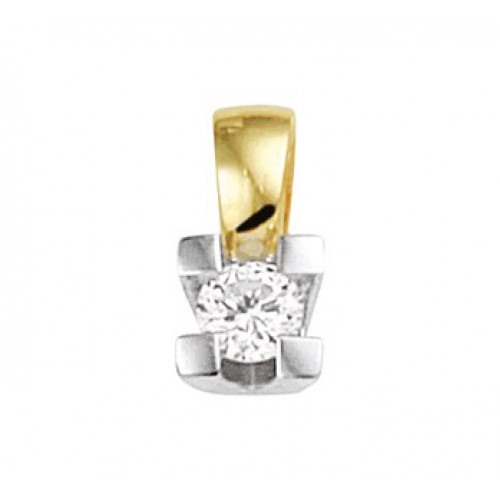 Bicolor gouden hanger met briljant geslepen diamant 0.10ct - 604564