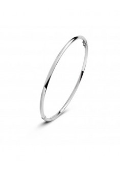 Fjory witgouden bangle rond profiel met zilveren kern 2mm/58mm - 605504 Fjory witgouden bangle rond profiel met zilveren kern 2mm/58mm - 605504