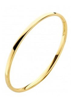 Geelgoud met zilveren kern bangle 7,0mm/61mm - 604565 Geelgoud met zilveren kern bangle 7,0mm/61mm - 604565