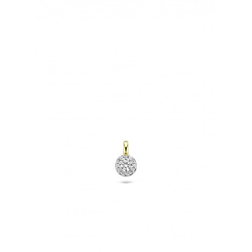 BLUSH bicolor gouden hanger met zirkonia  maat 5,5 mm - 000050522